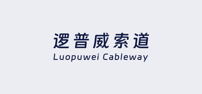 浙江邏普威索道科技有限公司網站建設成功！